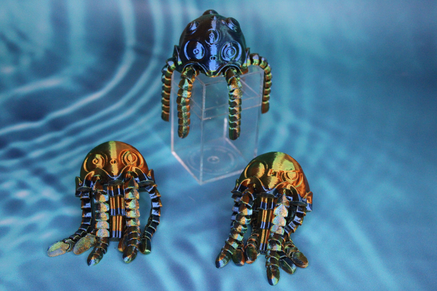 Jellyfish