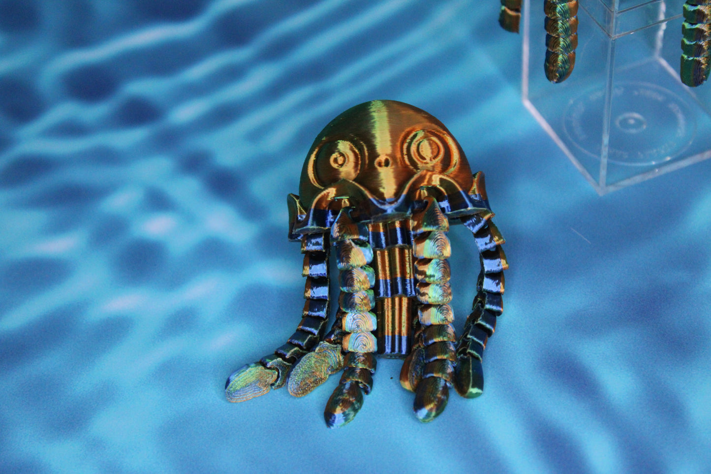 Jellyfish