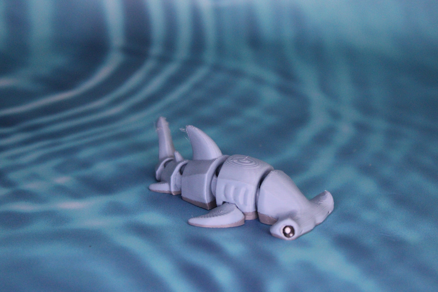 Hammerhead Shark