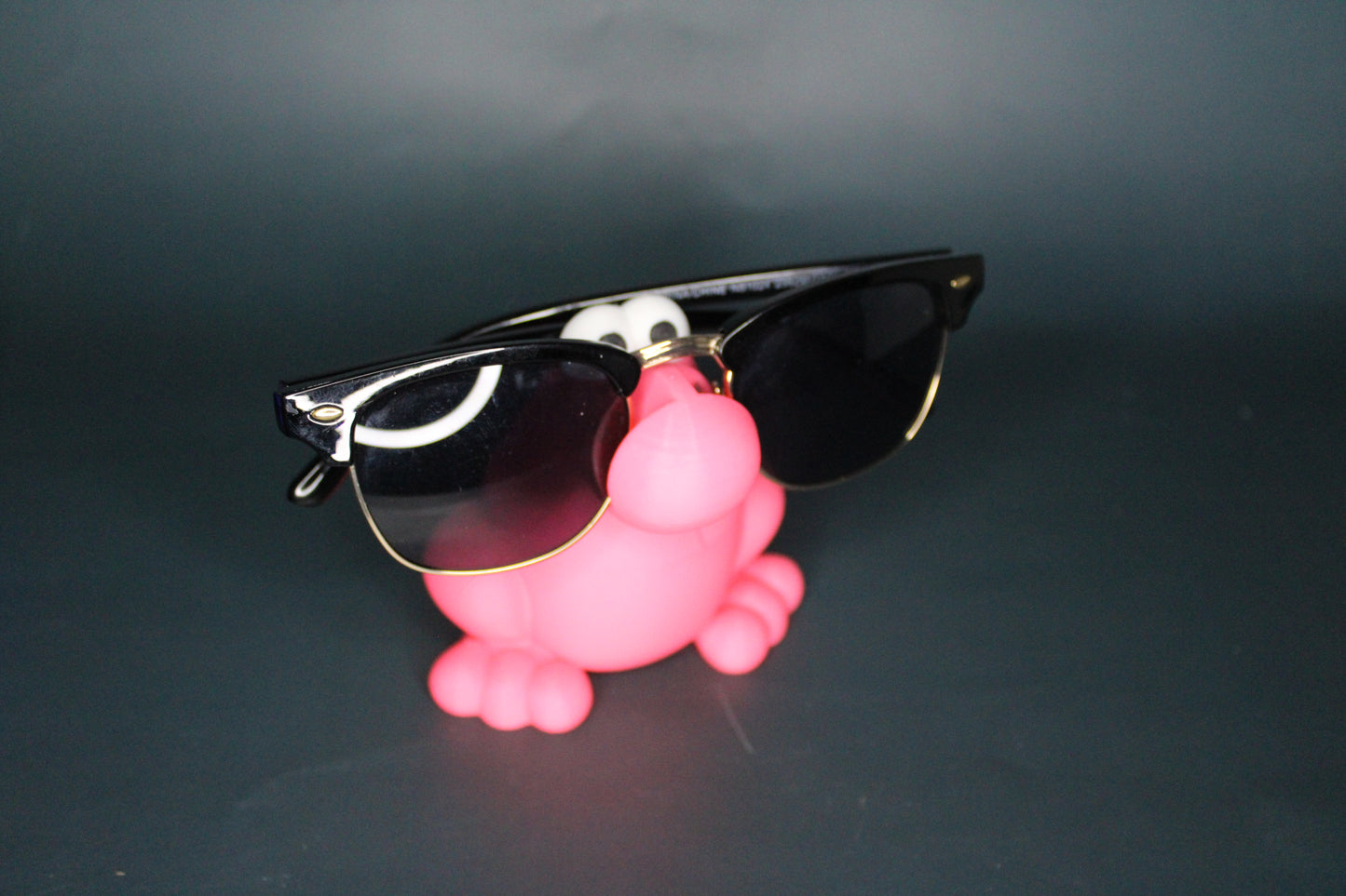 Nerds Eye Glass Holder