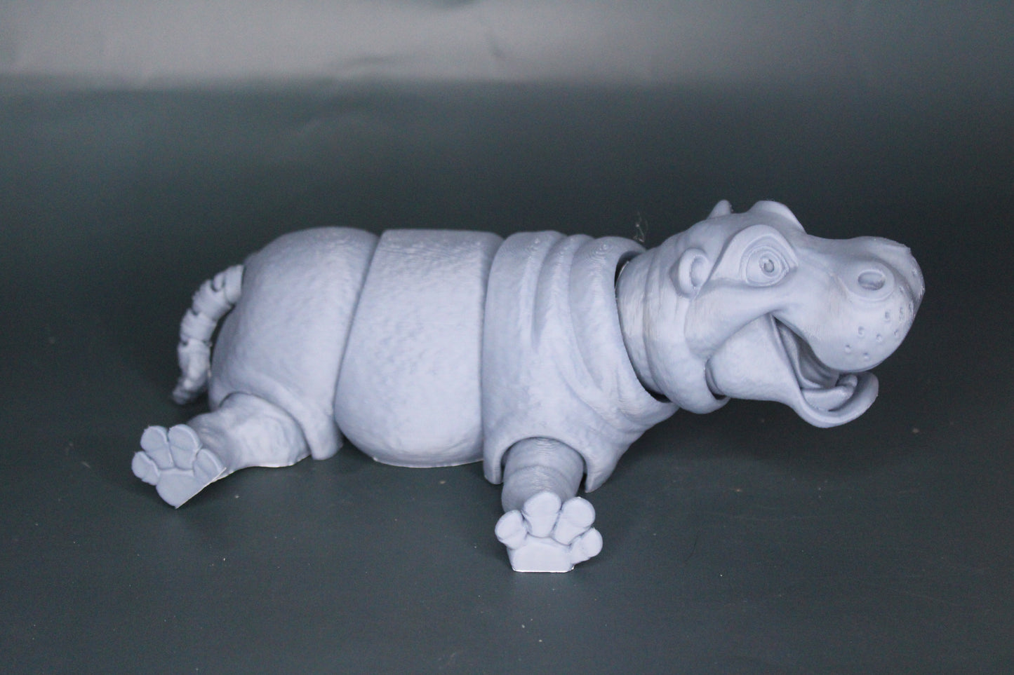 Hippo Fidget