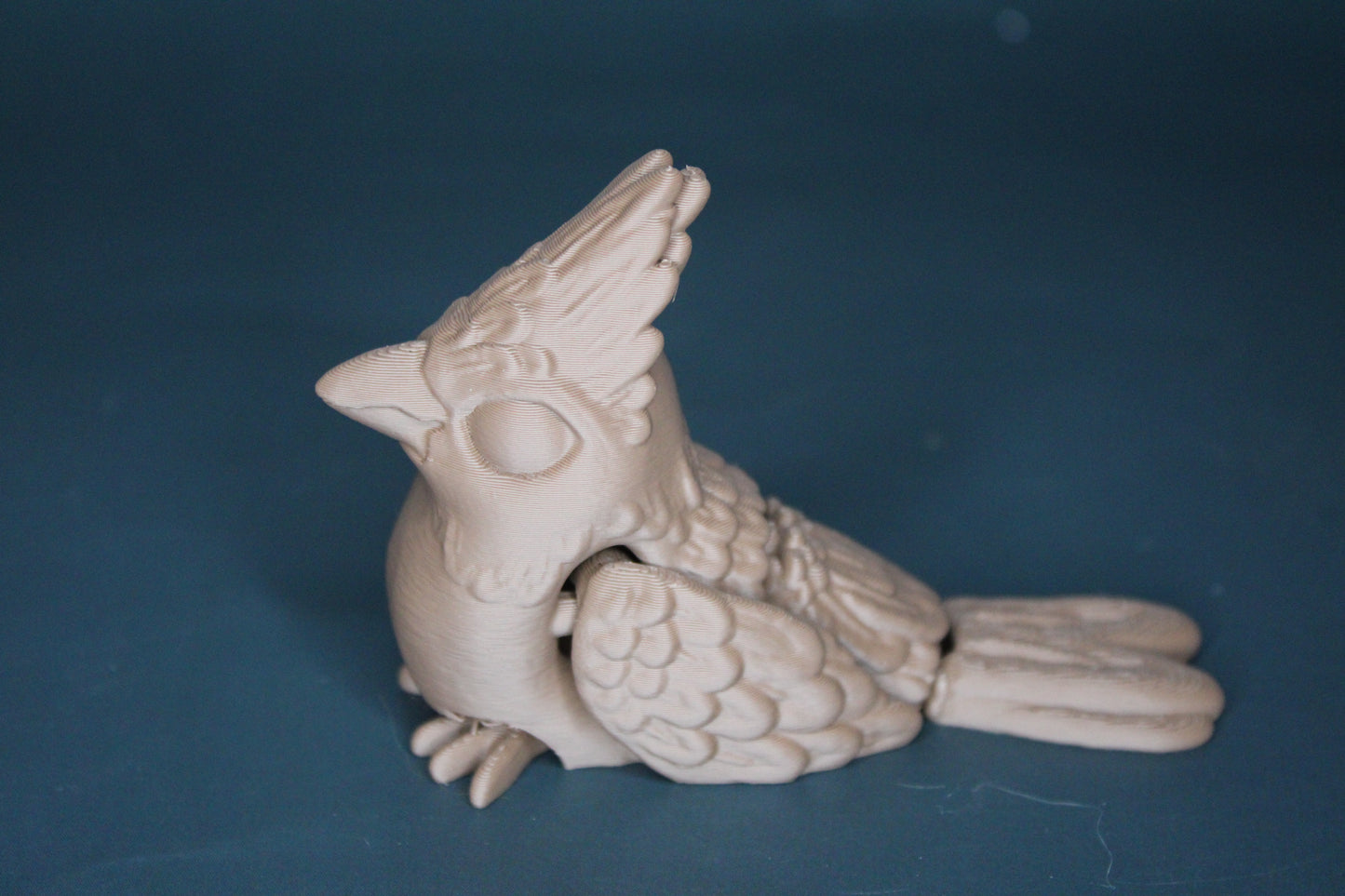 Cardinal Fidget