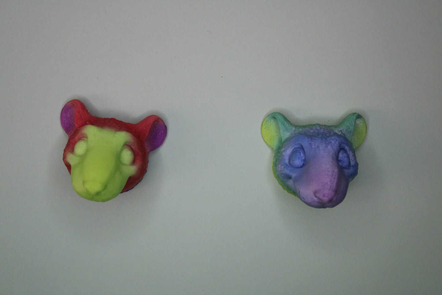 Magnet Rat