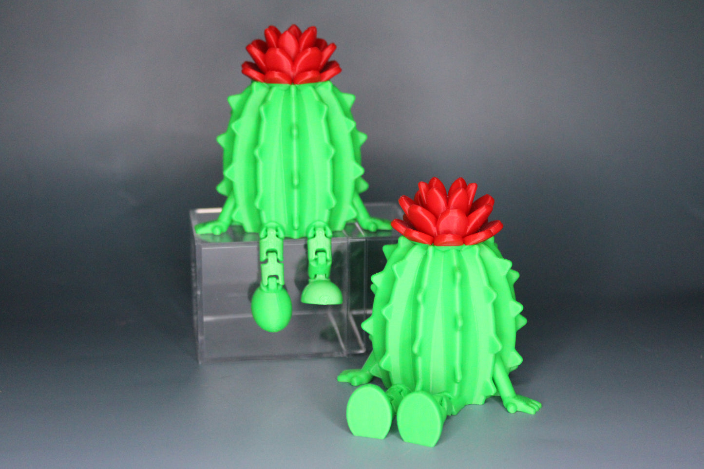 Cactus Shelflings