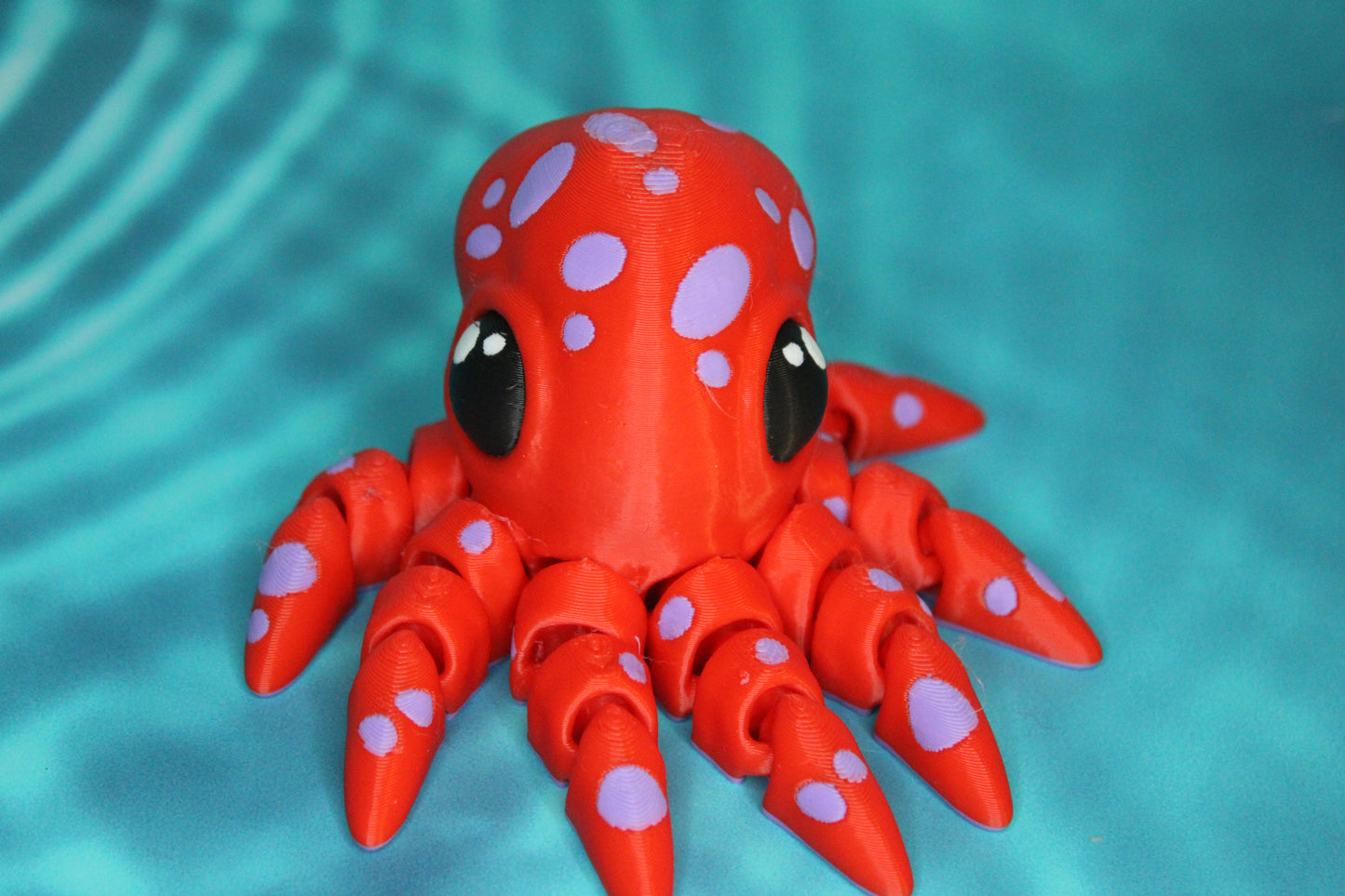 Octopus
