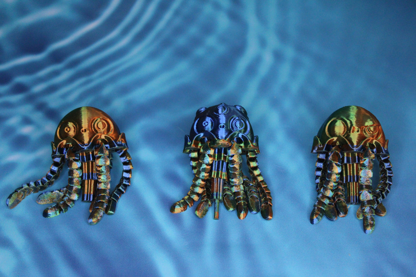 Jellyfish