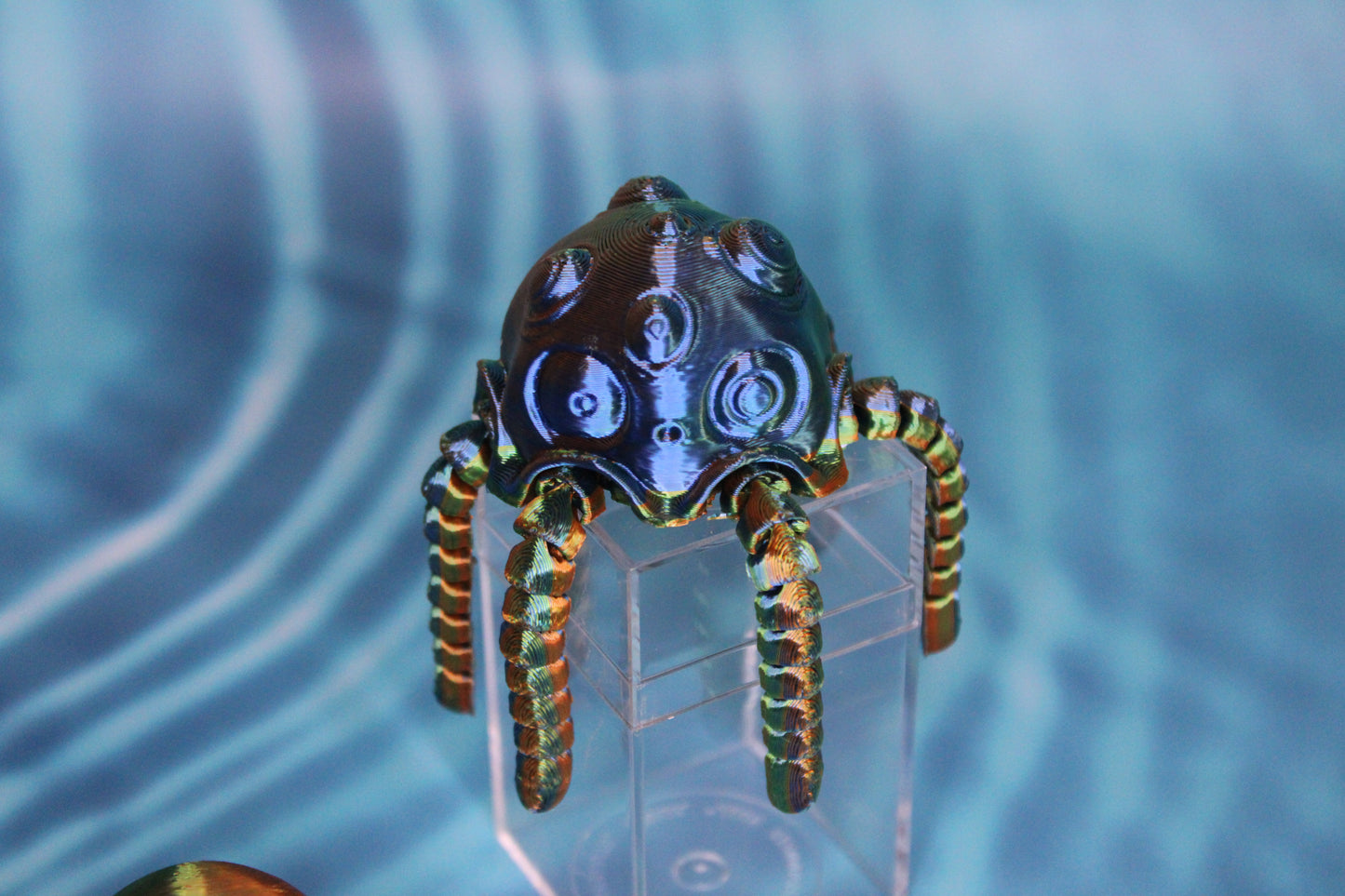Jellyfish