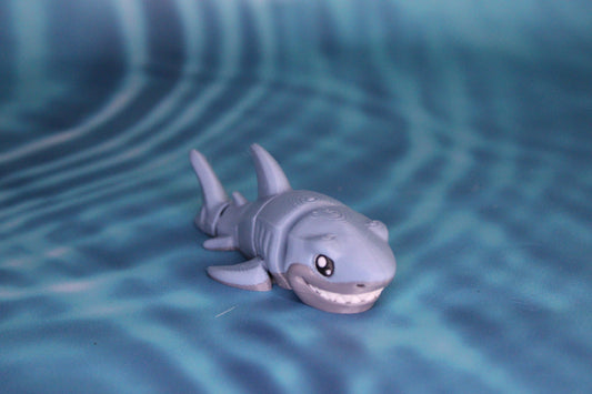 Great White Shark