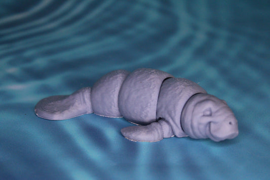 Manatee