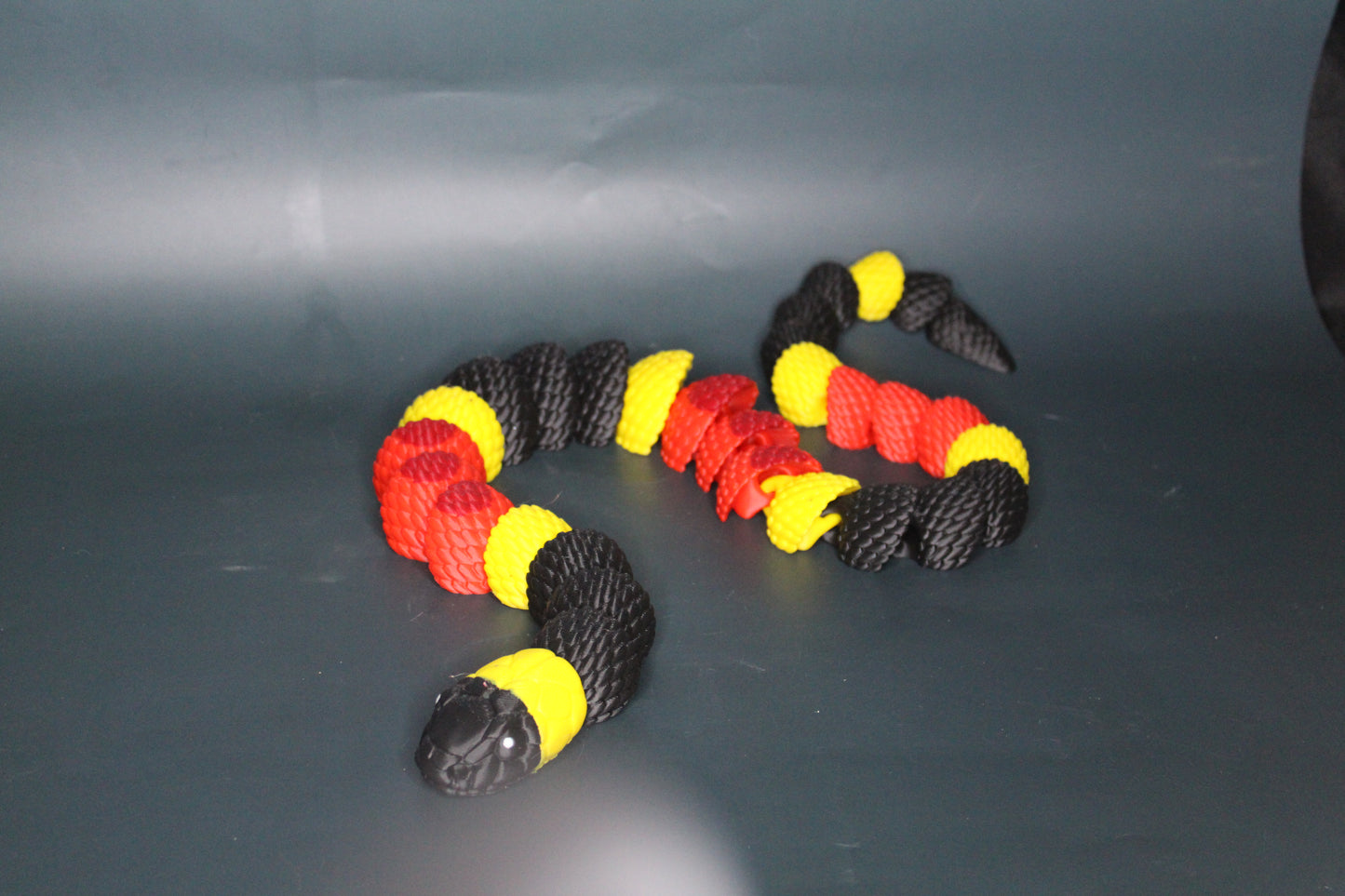 Coral Snake