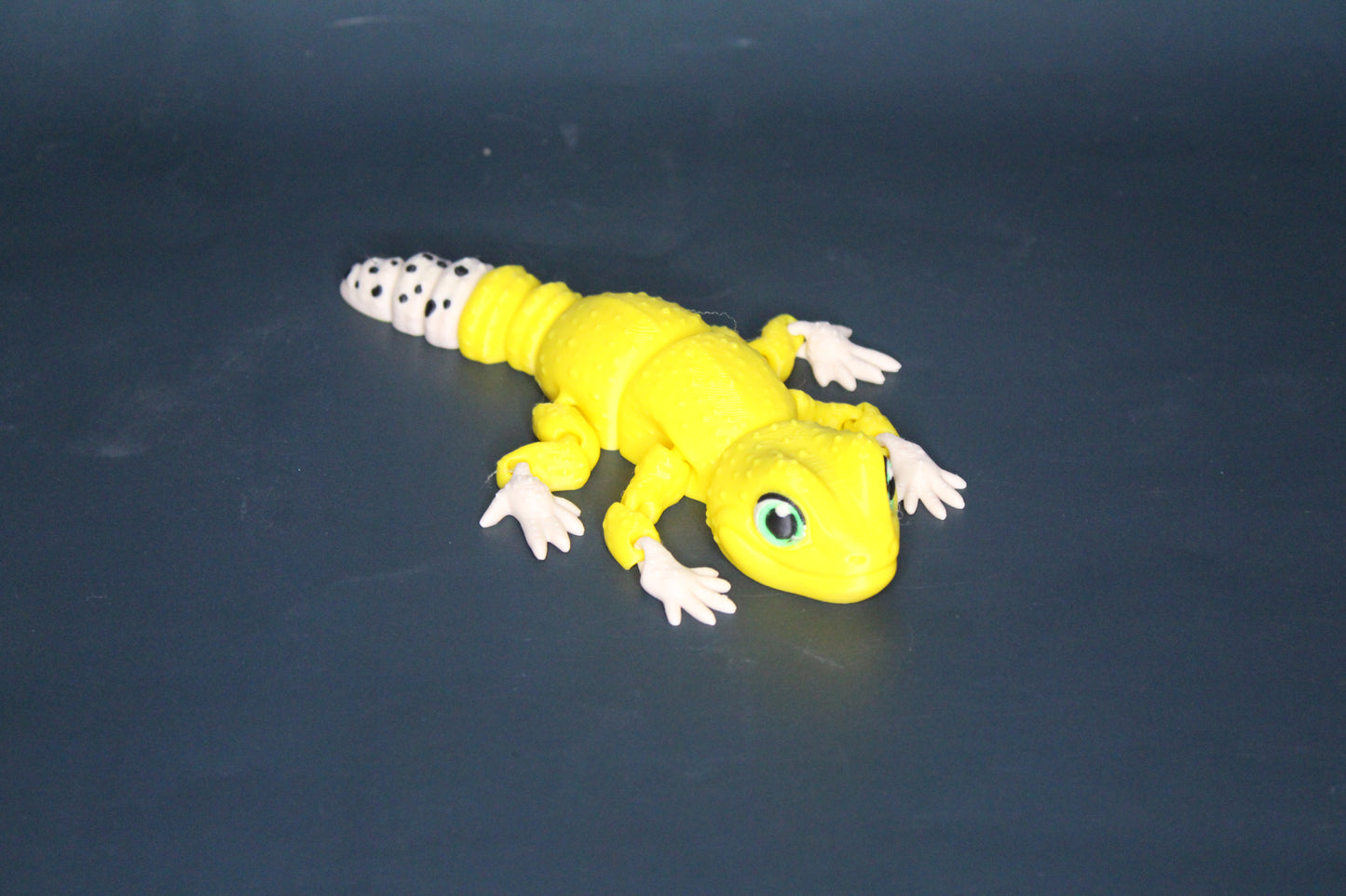 Leopard Gecko
