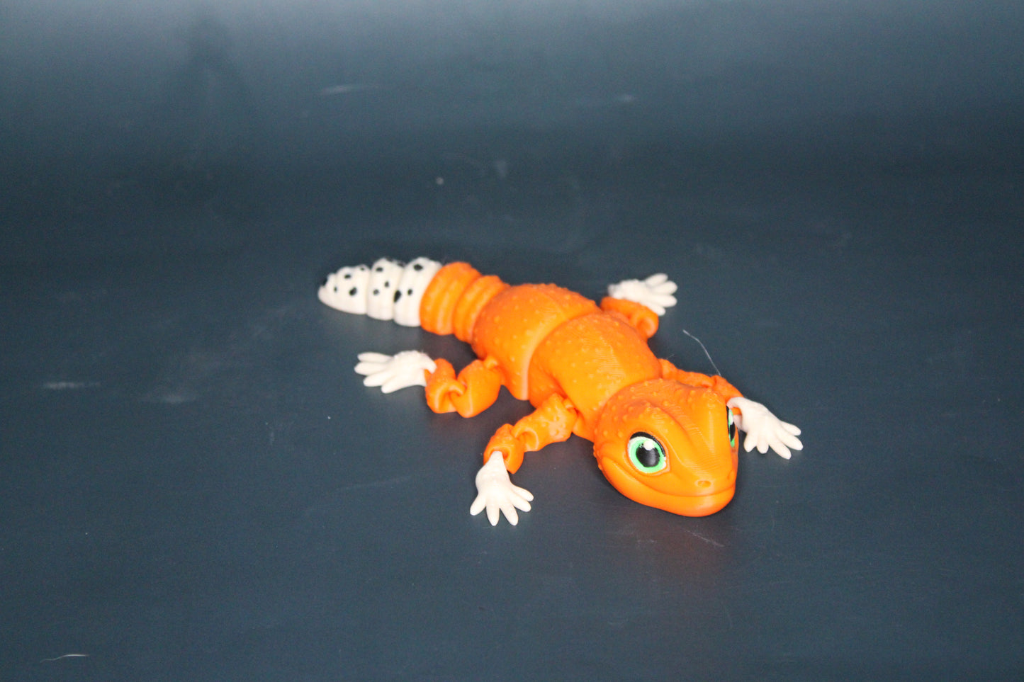 Leopard Gecko
