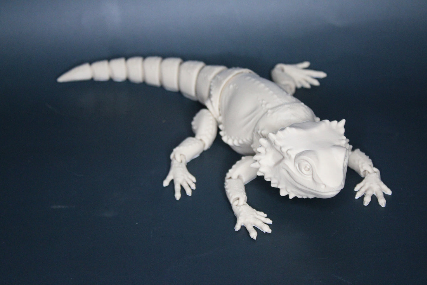 Bearded Dragon Fidget