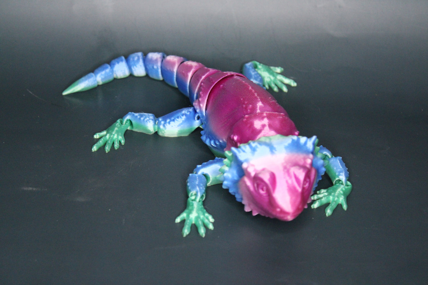 Bearded Dragon Fidget