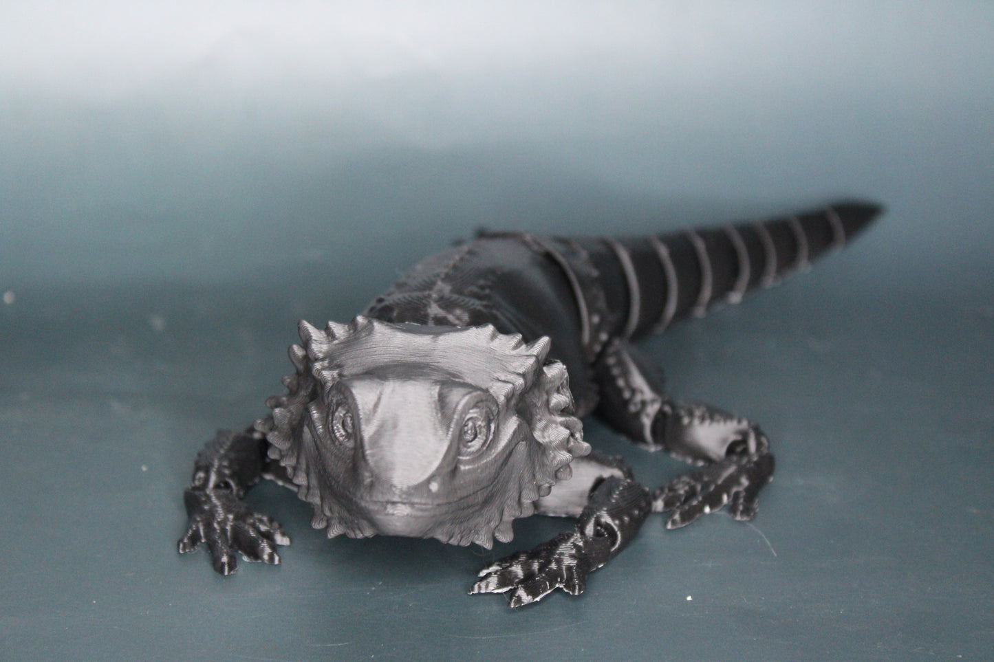 Bearded Dragon Fidget
