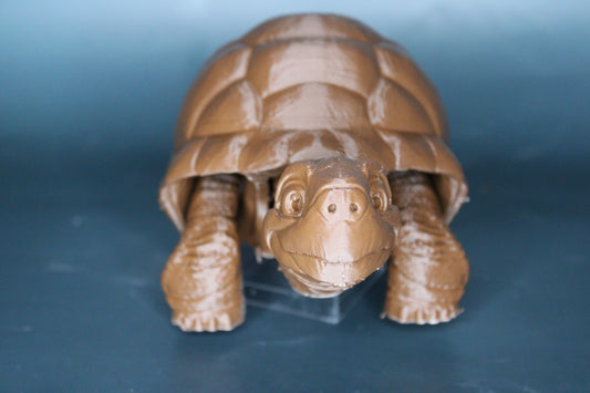 Tortoise Fidget