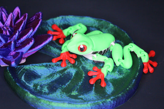 Red-Eyed Tree Frog