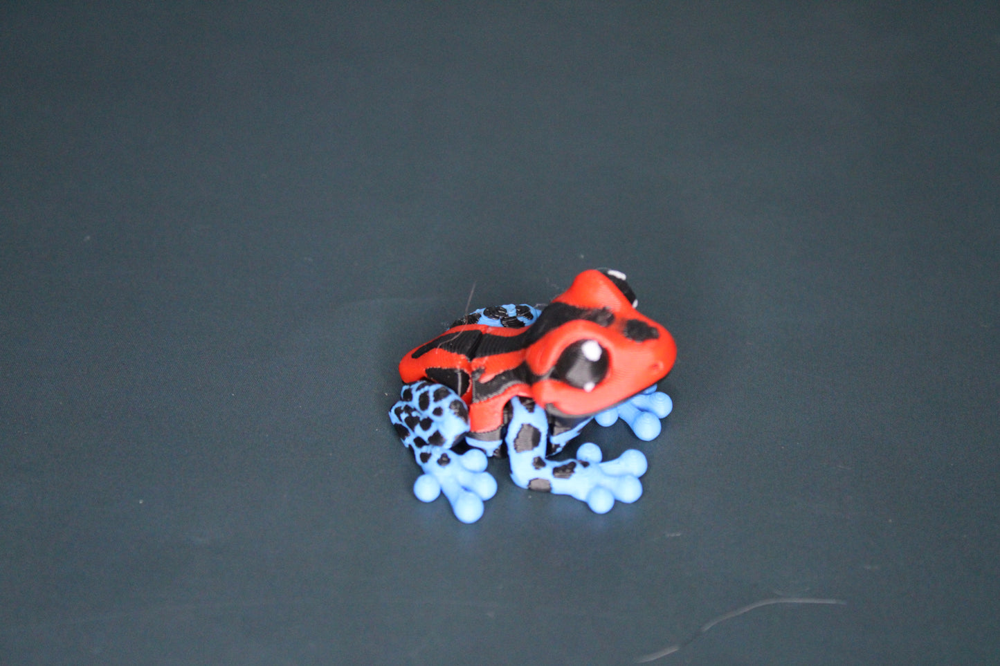 Mini Dart Frogs