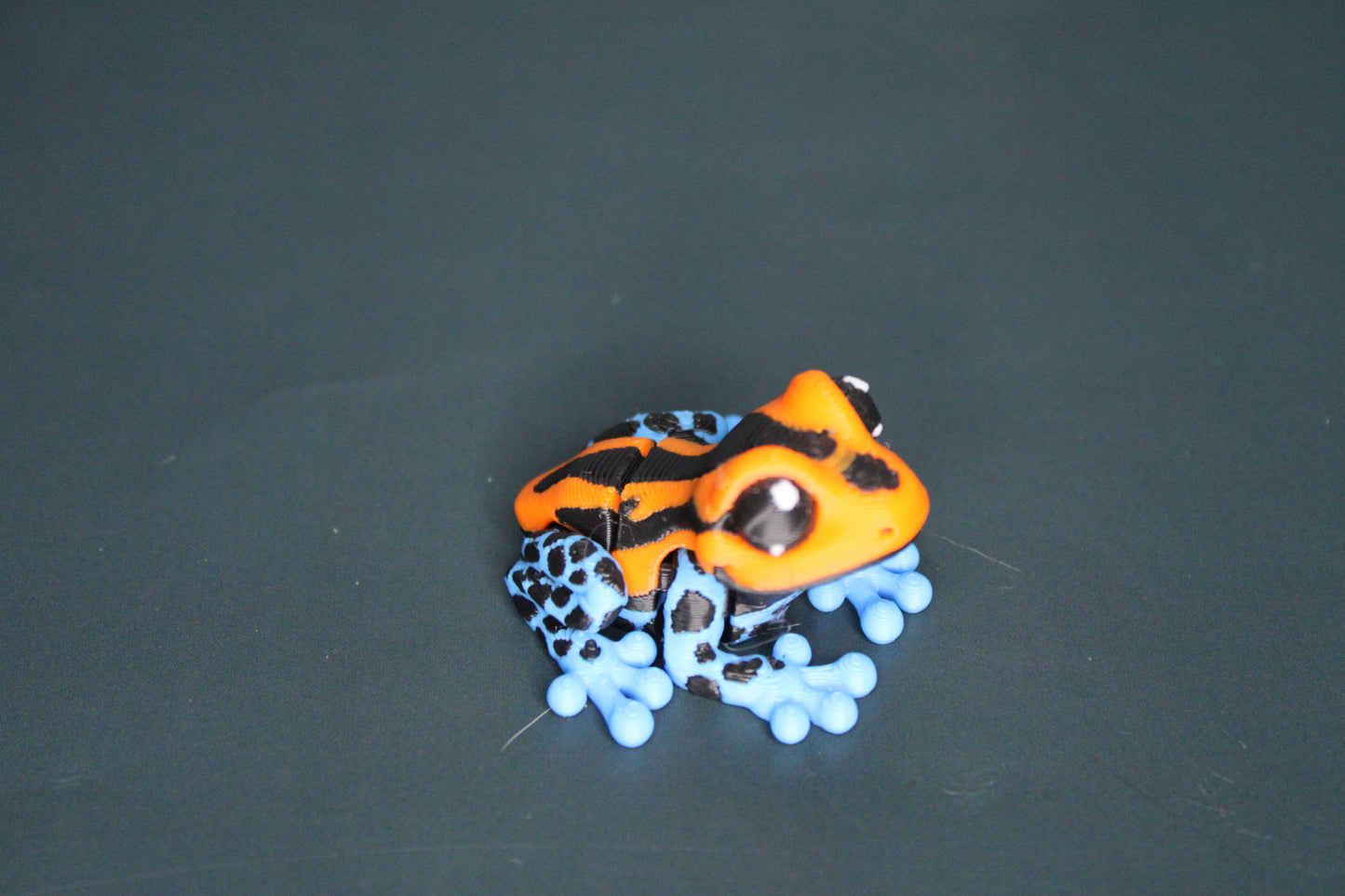 Mini Dart Frogs