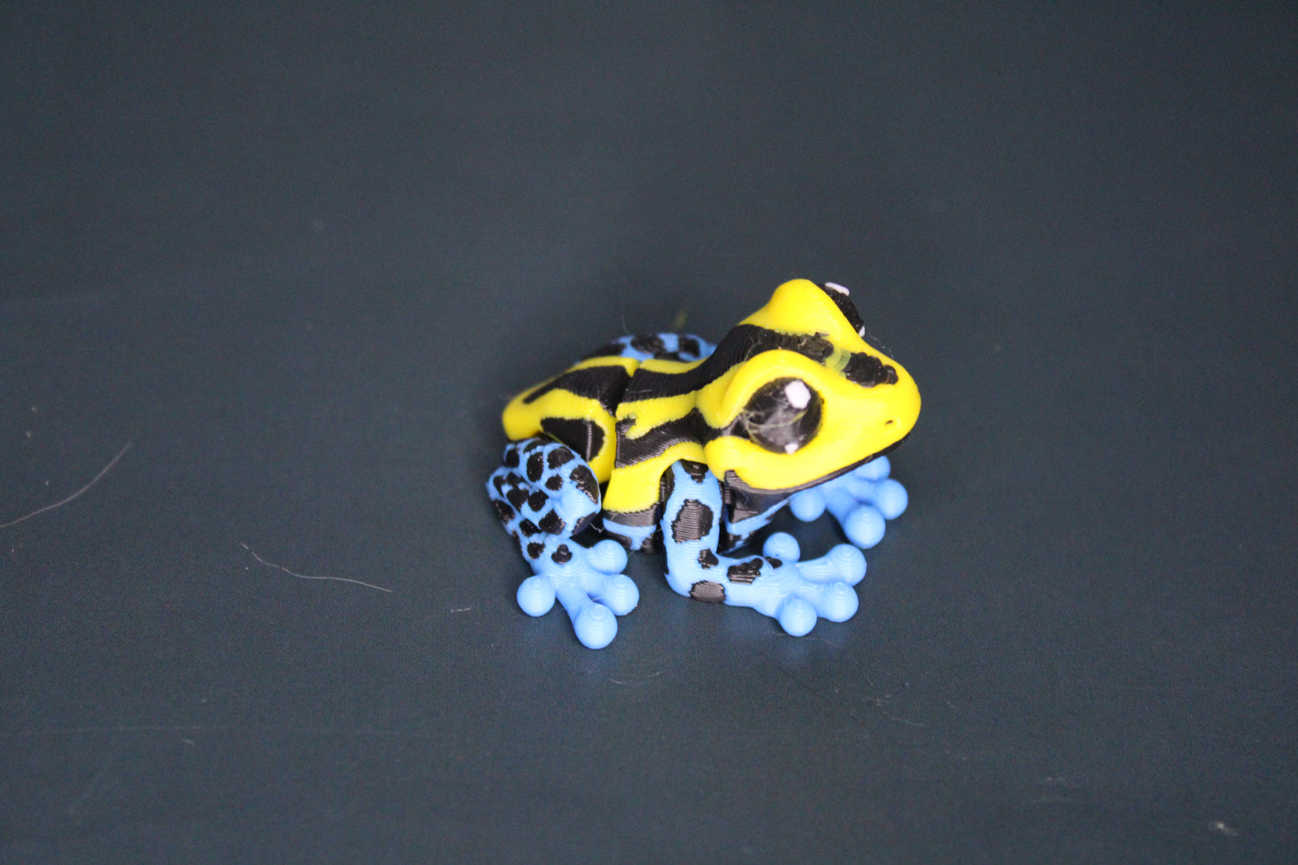 Mini Dart Frogs