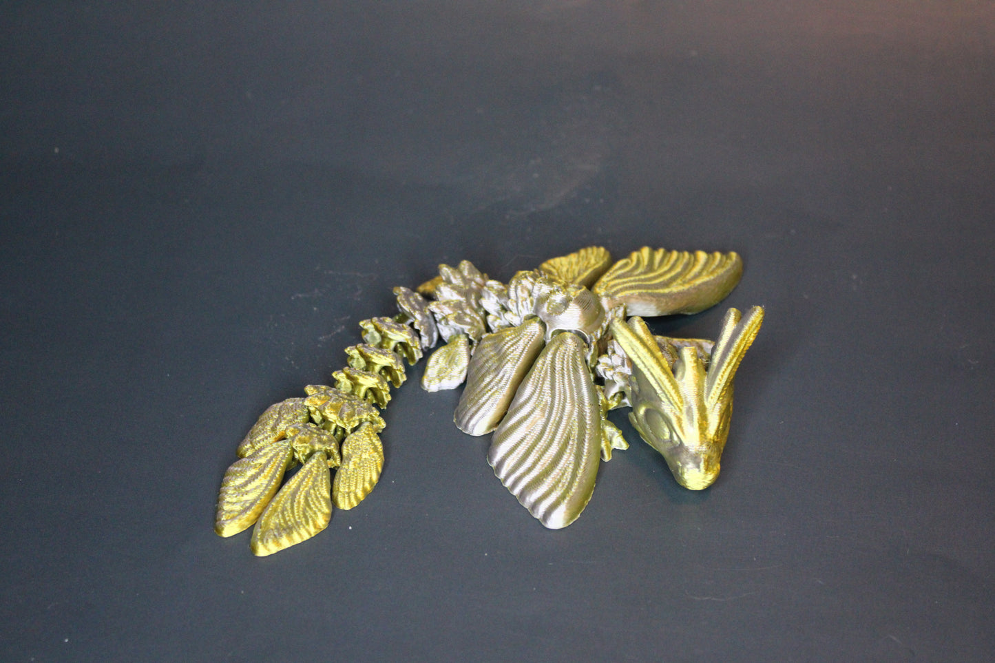 Baby Death's head Moth Dragon