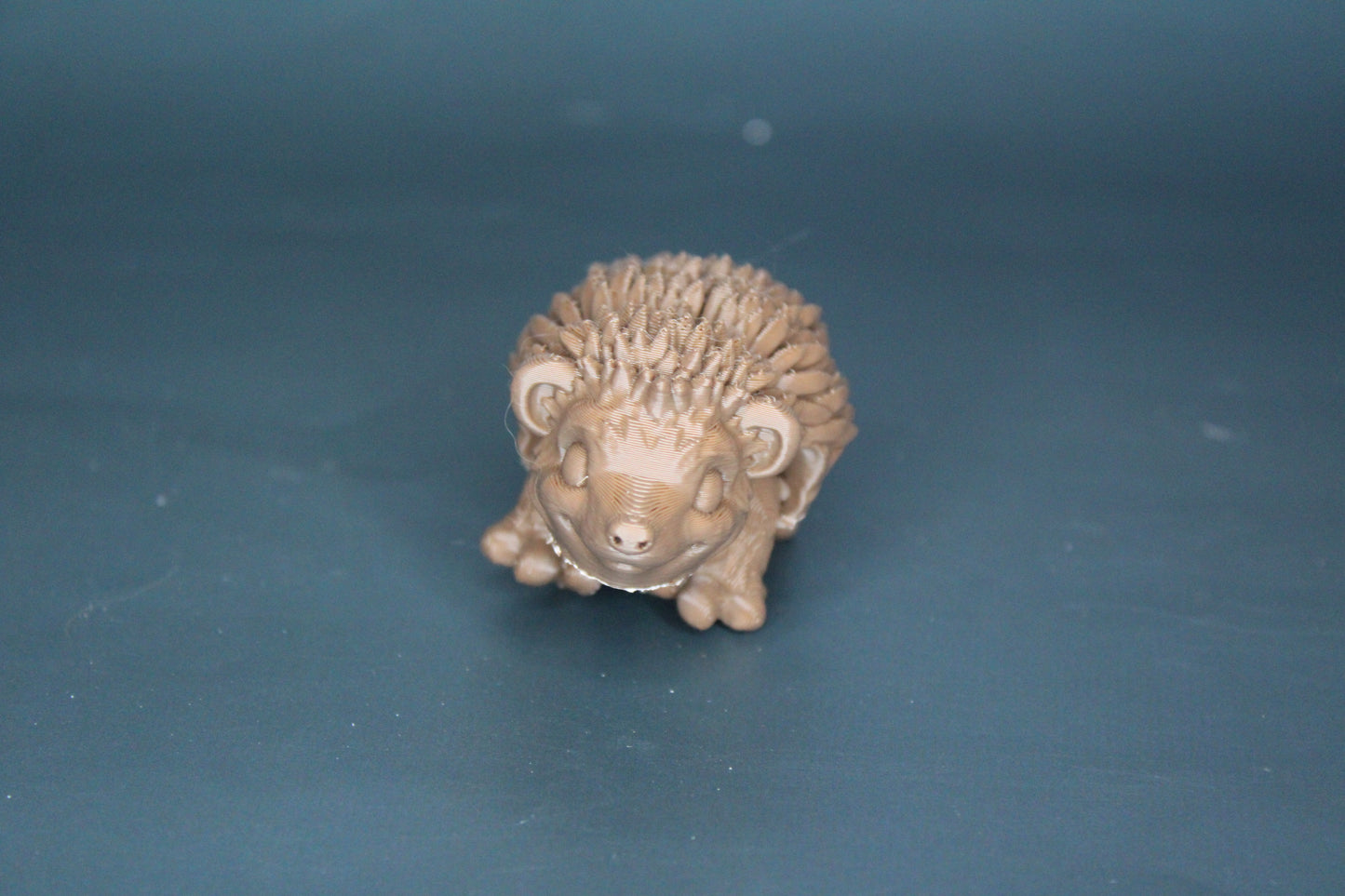Hedgehog Fidget
