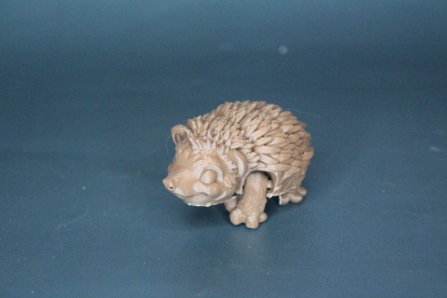 Hedgehog Fidget