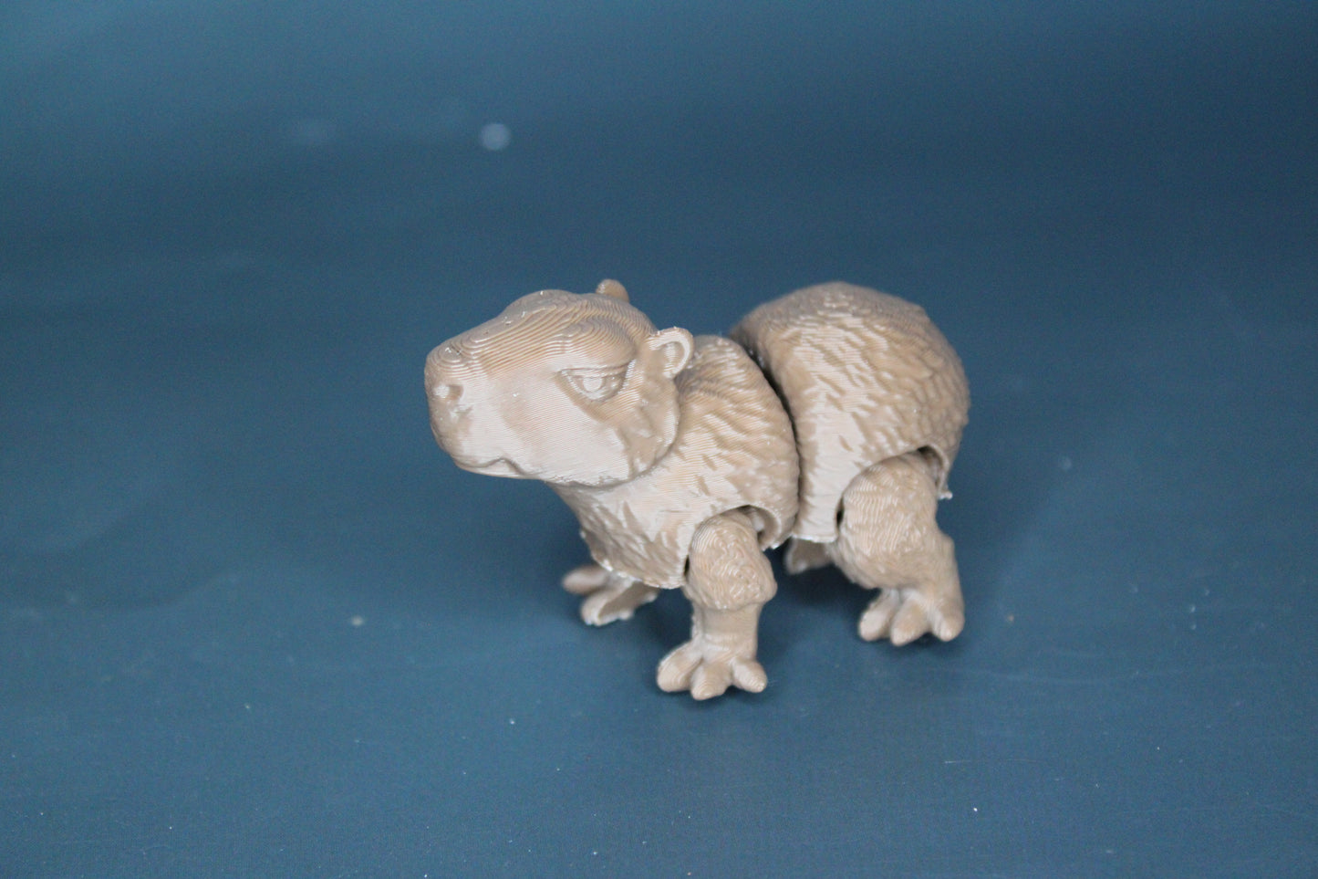 Capybara Fidget