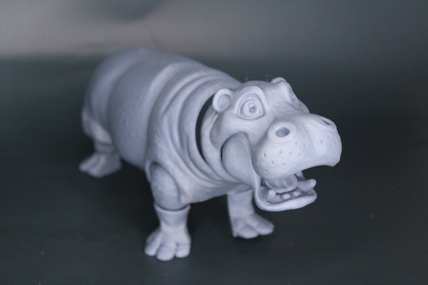 Hippo Fidget