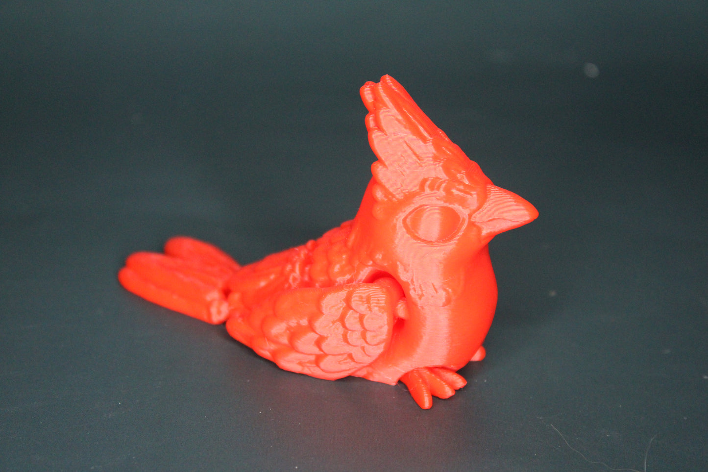 Cardinal Fidget