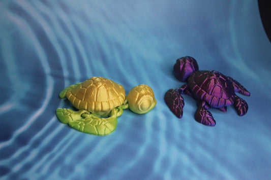 Sea Turtle Fidget