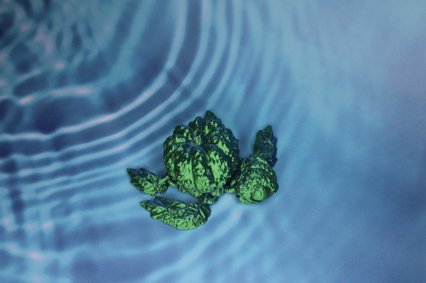 "Bumpkin" Pumpkin Turtle Fidget