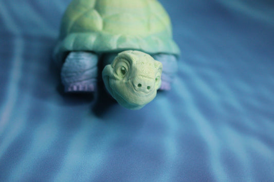Tortoise Fidget