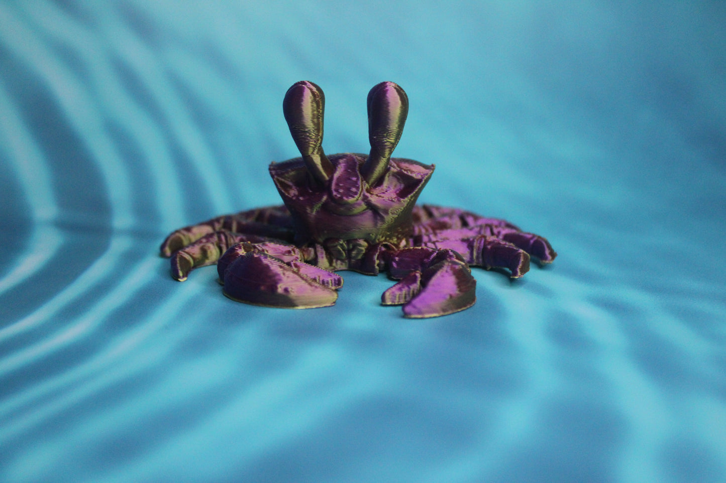 Ghost Crab Fidget