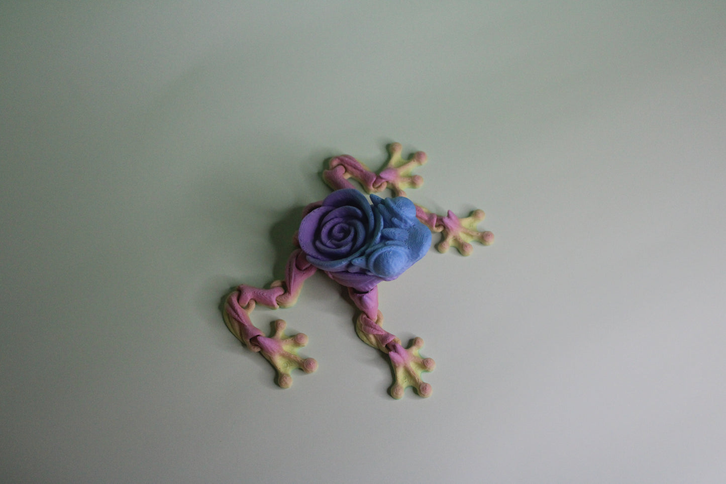 Rose Frog Fidget