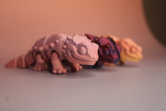 Mini Bearded Dragon Fidget