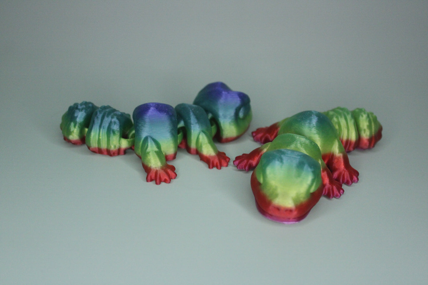 Fat Tailed Gecko Fidget