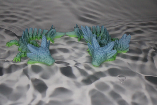 Baby Axolotl Dragon