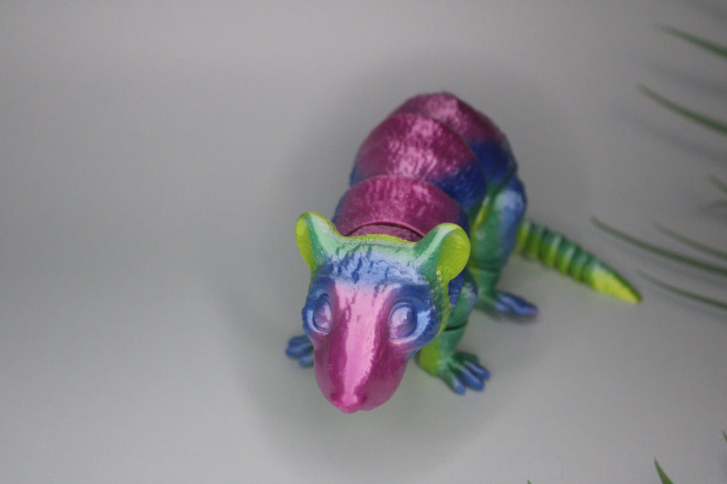 Rat Fidget