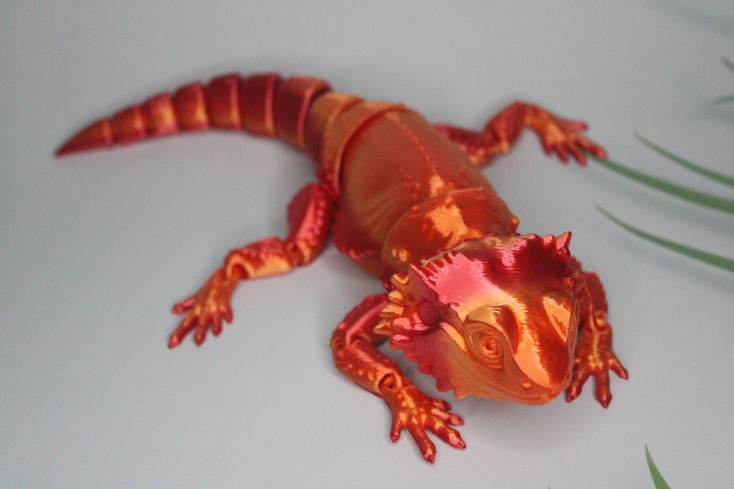 Bearded Dragon Fidget