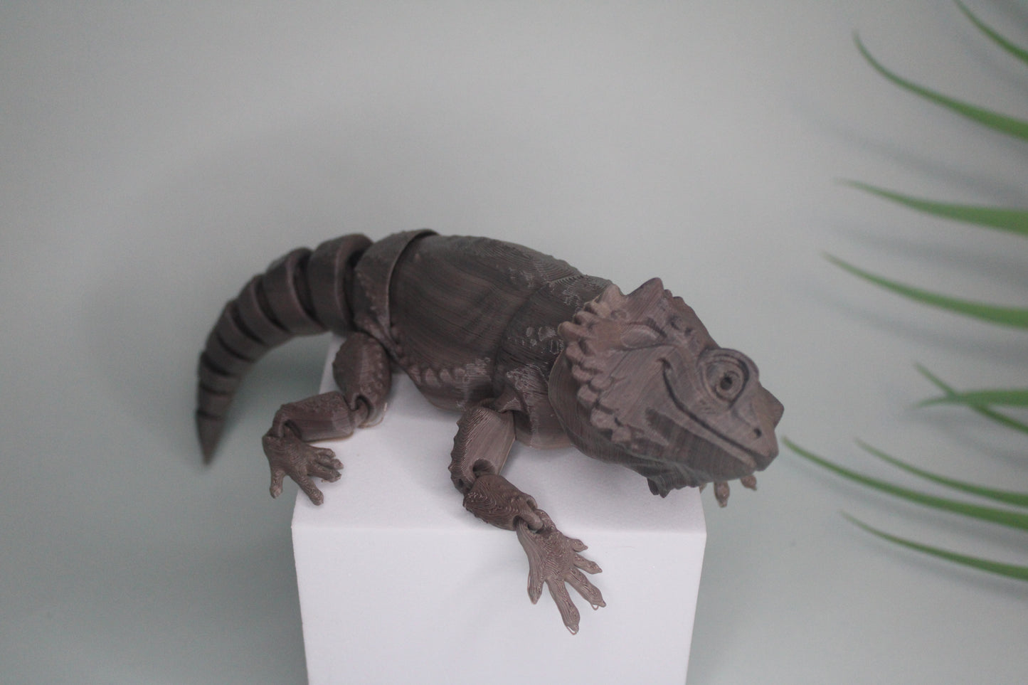 Bearded Dragon Fidget