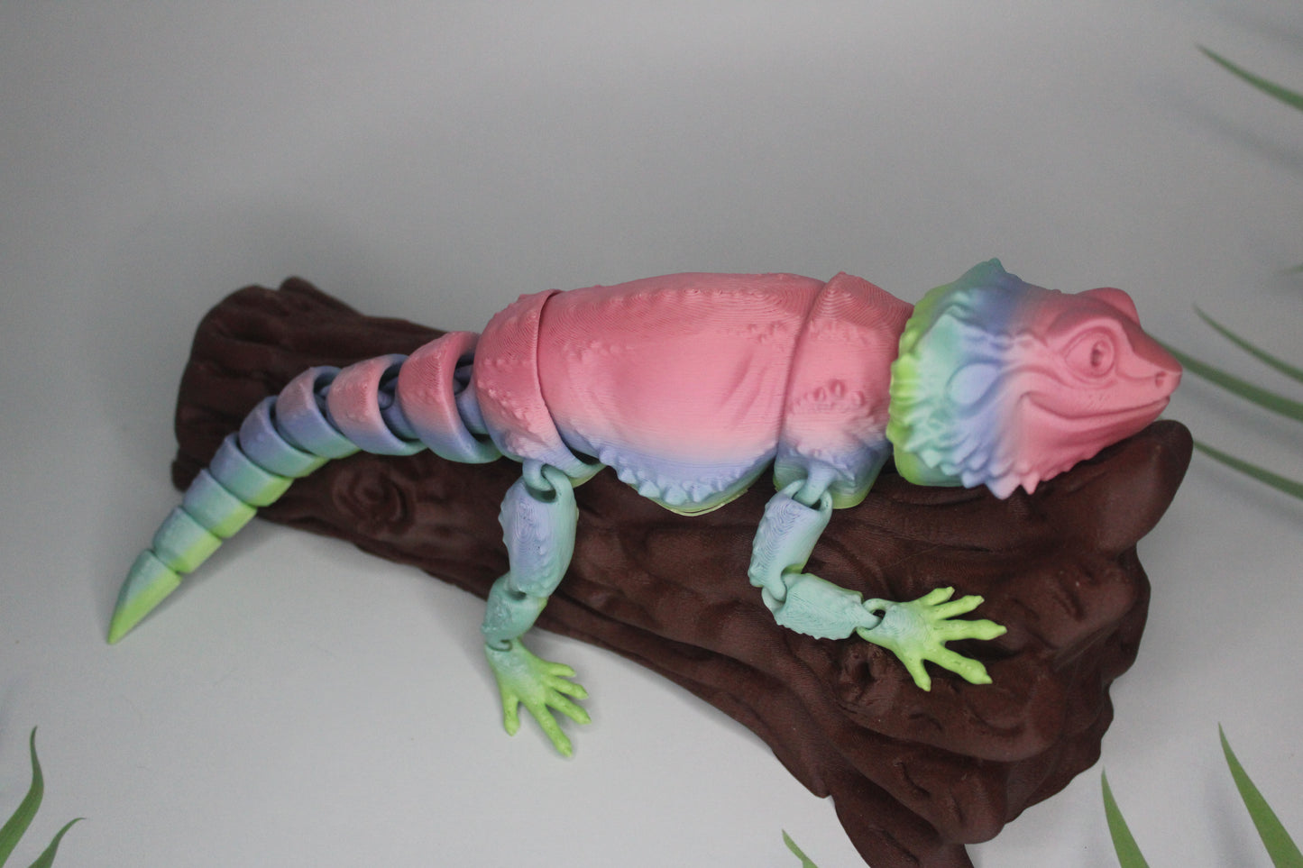 Bearded Dragon Fidget