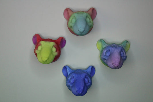 Magnet Rat