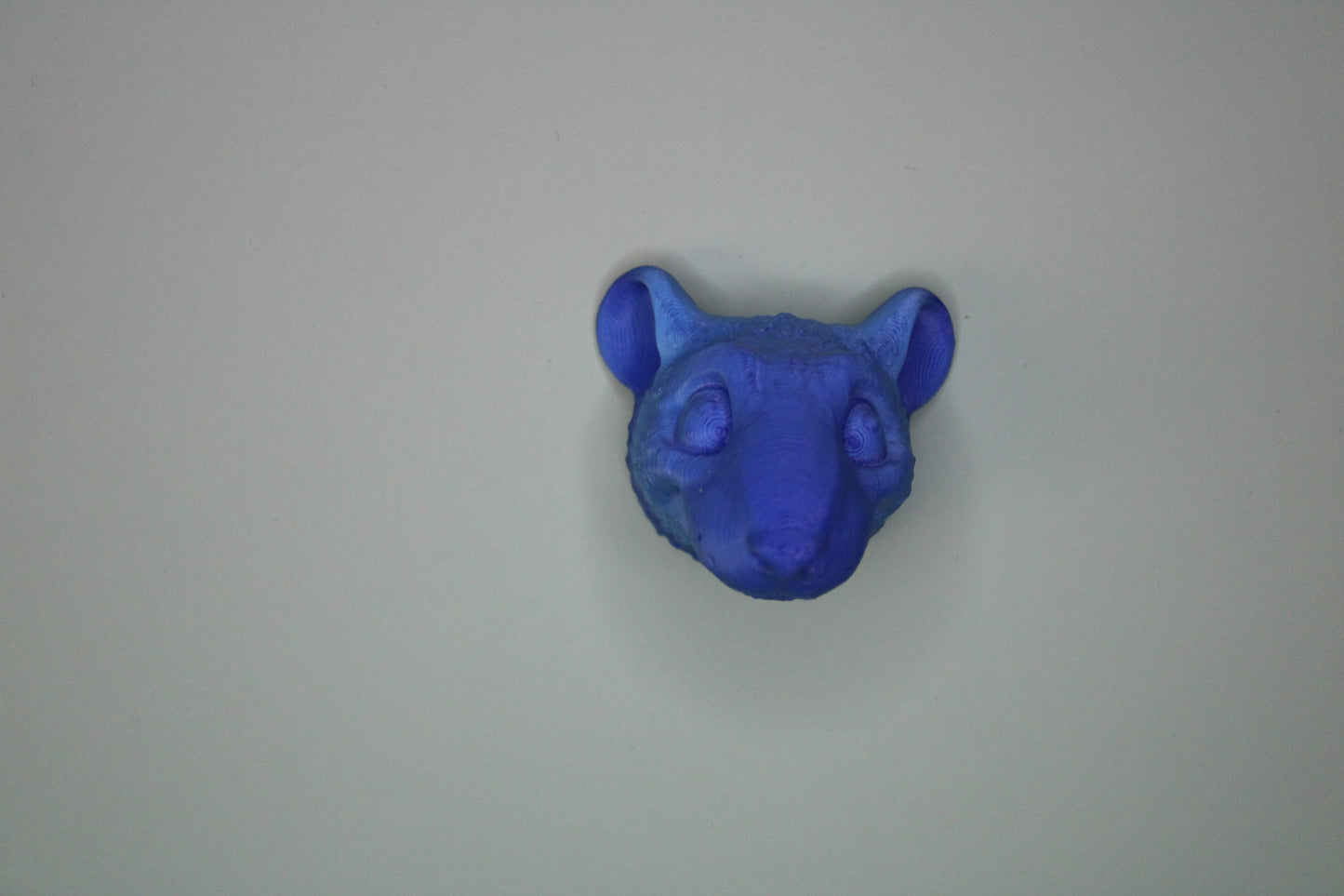Magnet Rat