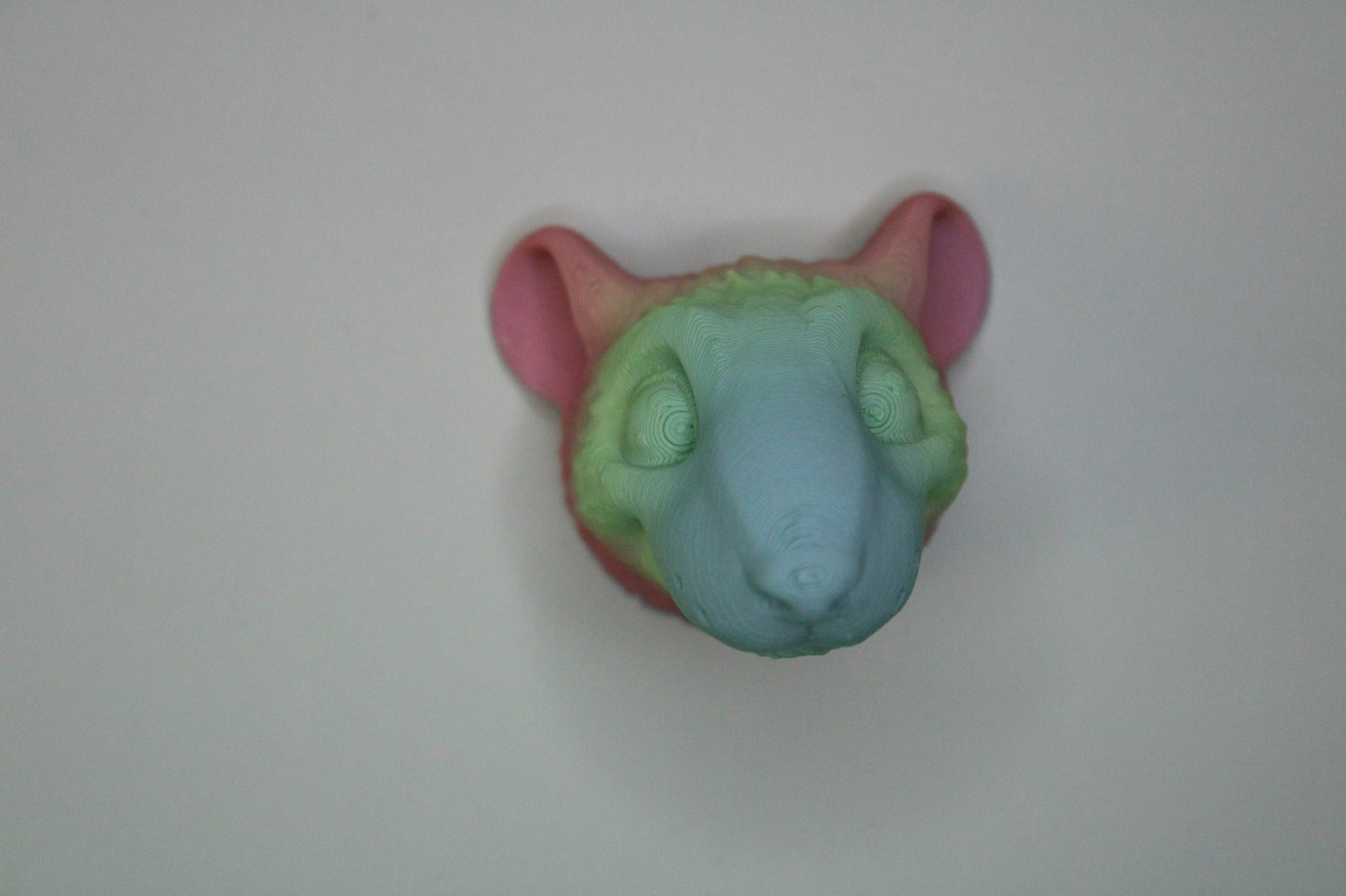 Magnet Rat