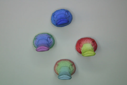 Magnet Platypus