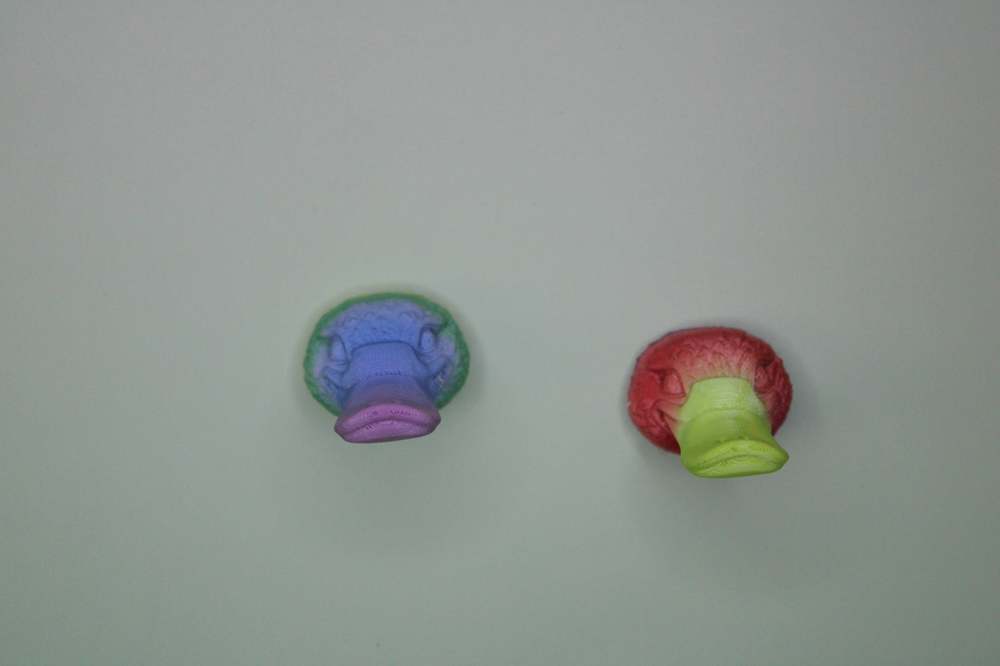 Magnet Platypus