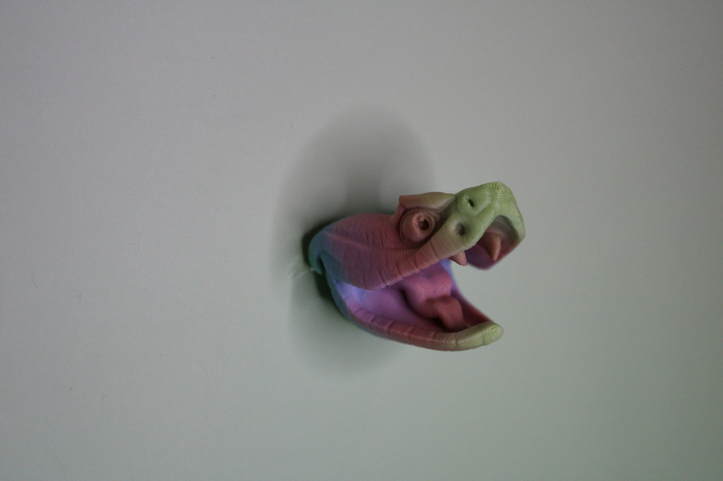 Magnet Rattle Snake