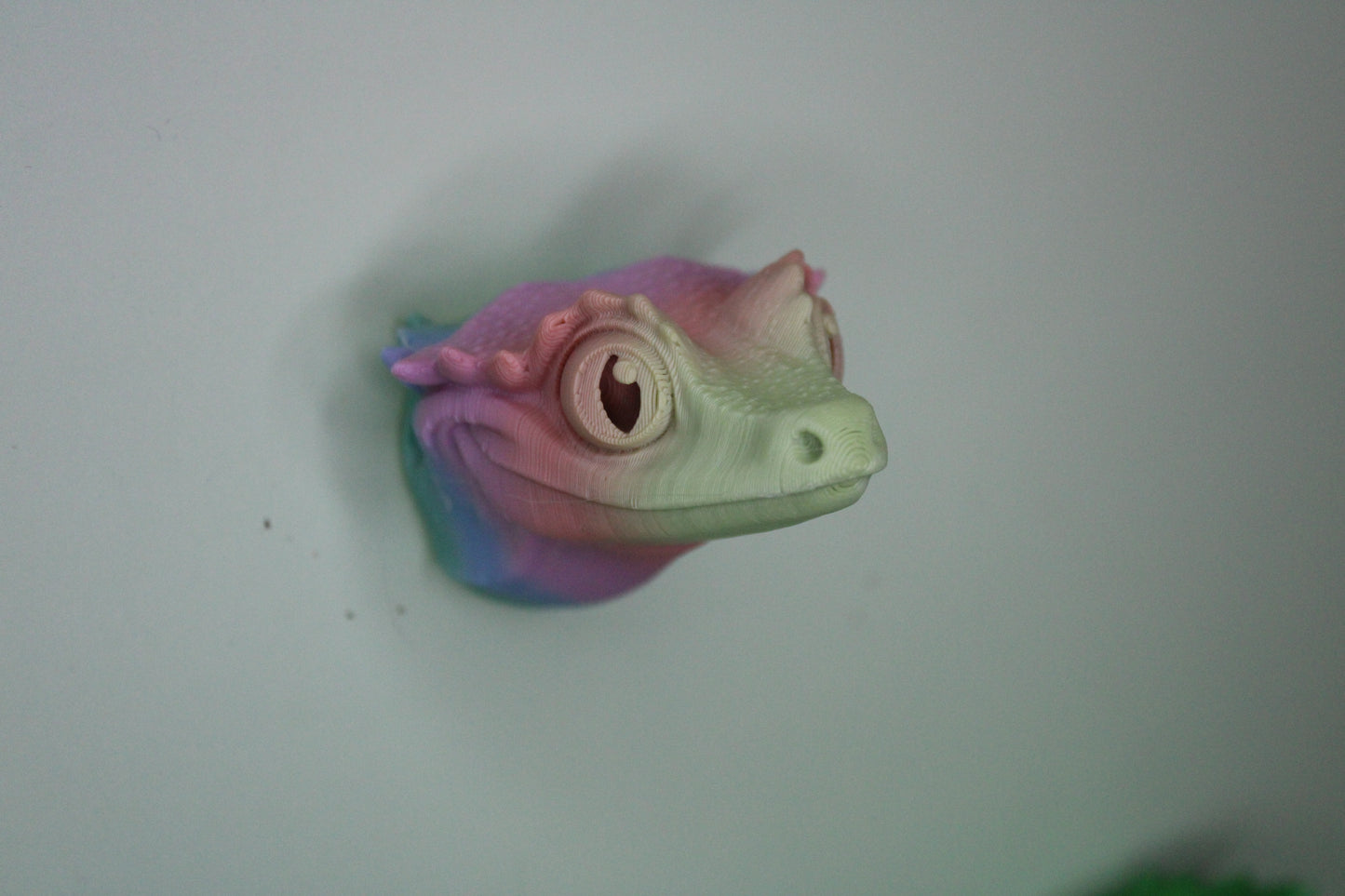 Magnet Crested Gecko