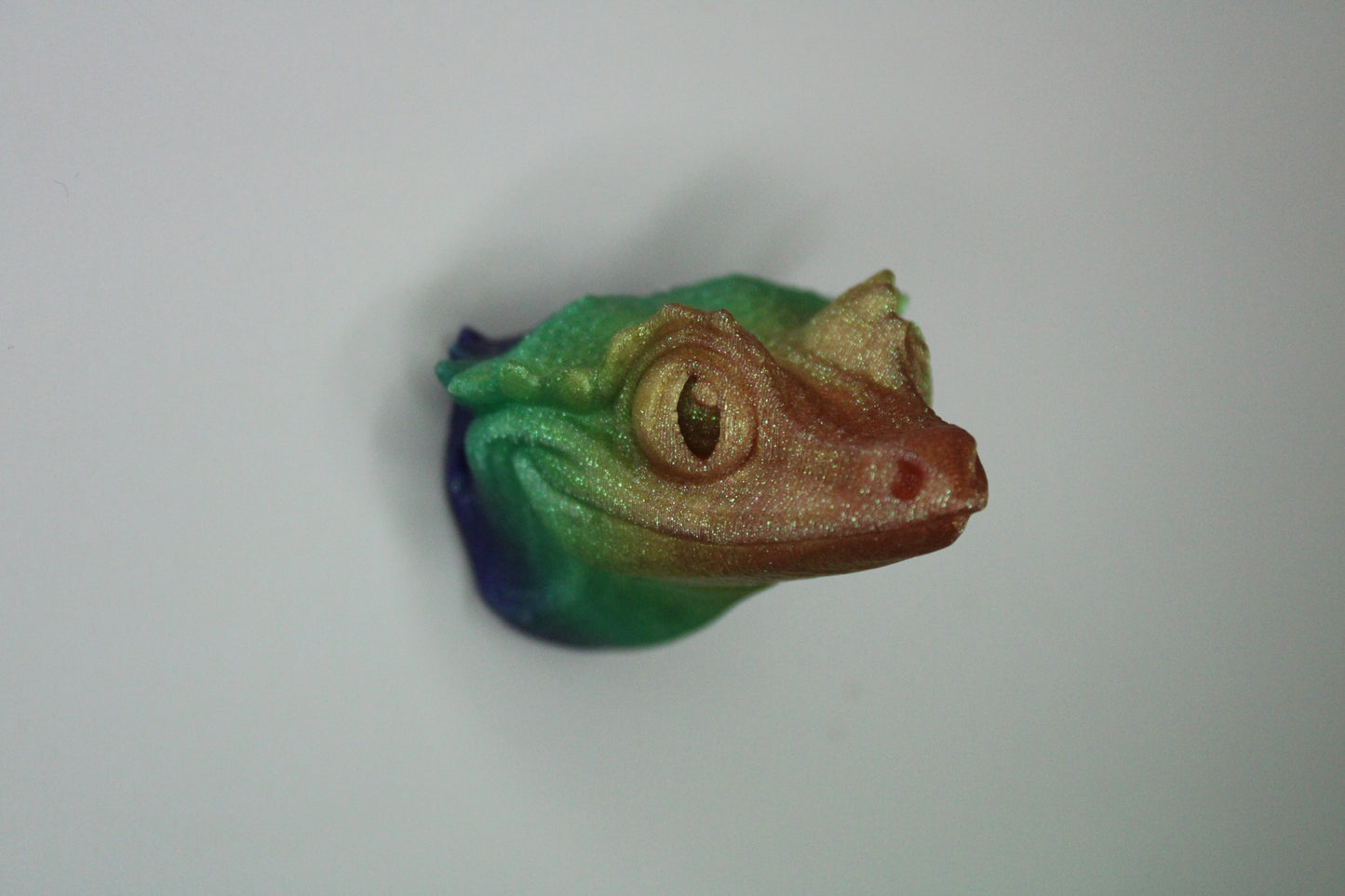 Magnet Crested Gecko